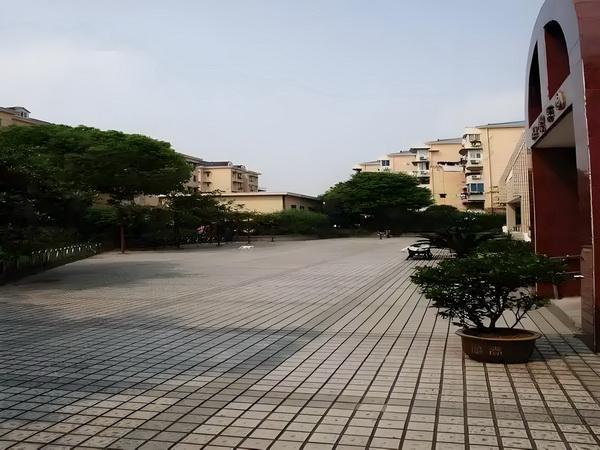 懒后倾城