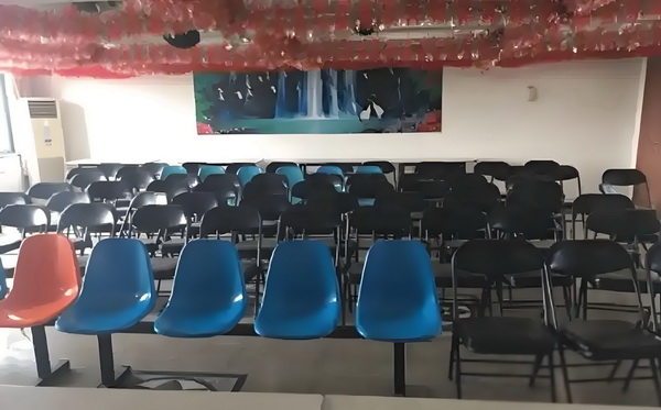 诱金龟